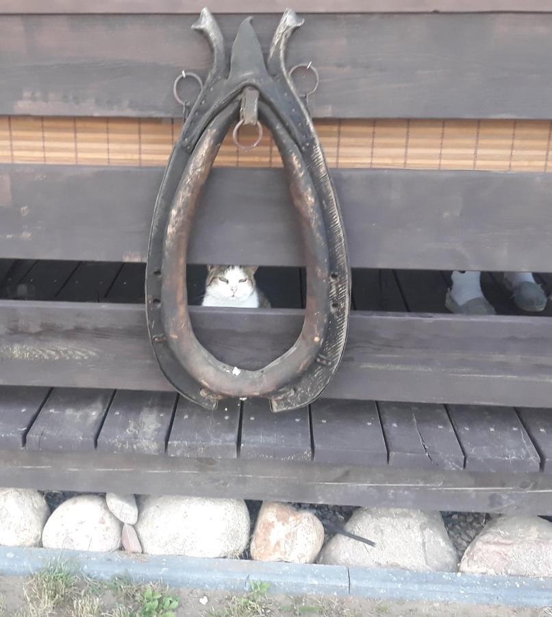 Gapkowo Stare Kiejkuty