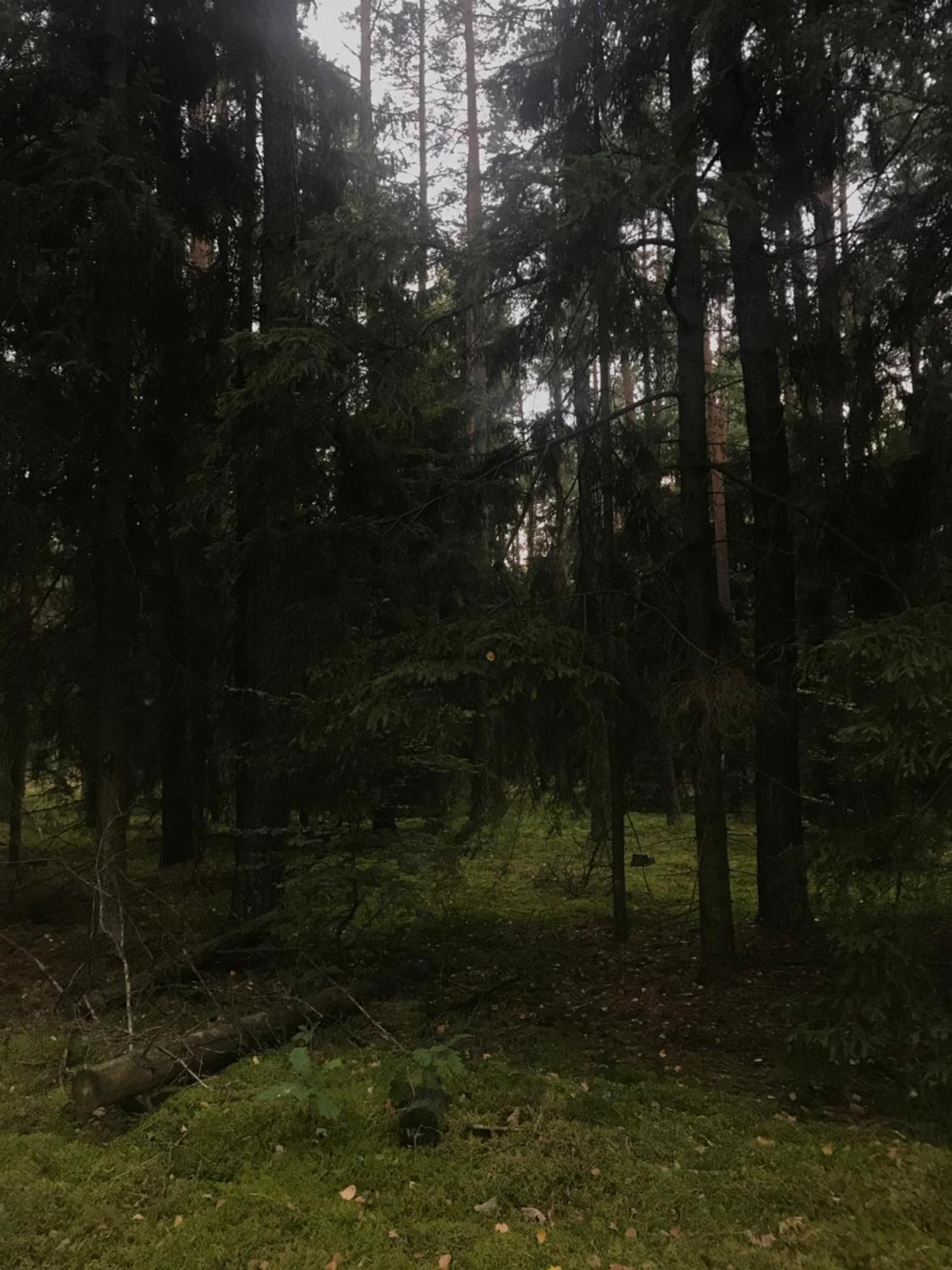 Gapkowo Holiday home Stare Kiejkuty